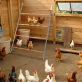 Outdoor Chicken Perch, 4-Level Round Tiered Metal & Wood Roost with Concave Platforms – 104 x 143cm