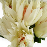 Artificial White Protea Sugarbush Stems, Pack of 6 – 65cm Wired Silk Flowers for Displays
