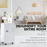 HOMCOM Portable Dehumidifier 12L/Day with 2000ml Tank – Quiet Damp Control for Home & Laundry Room