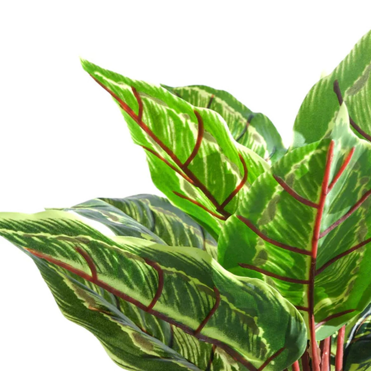 Leaf Artificial Potted Calathea Veitchiane, Pack of 6 – Low-Maintenance Desk and Shelf Plants, 38cm