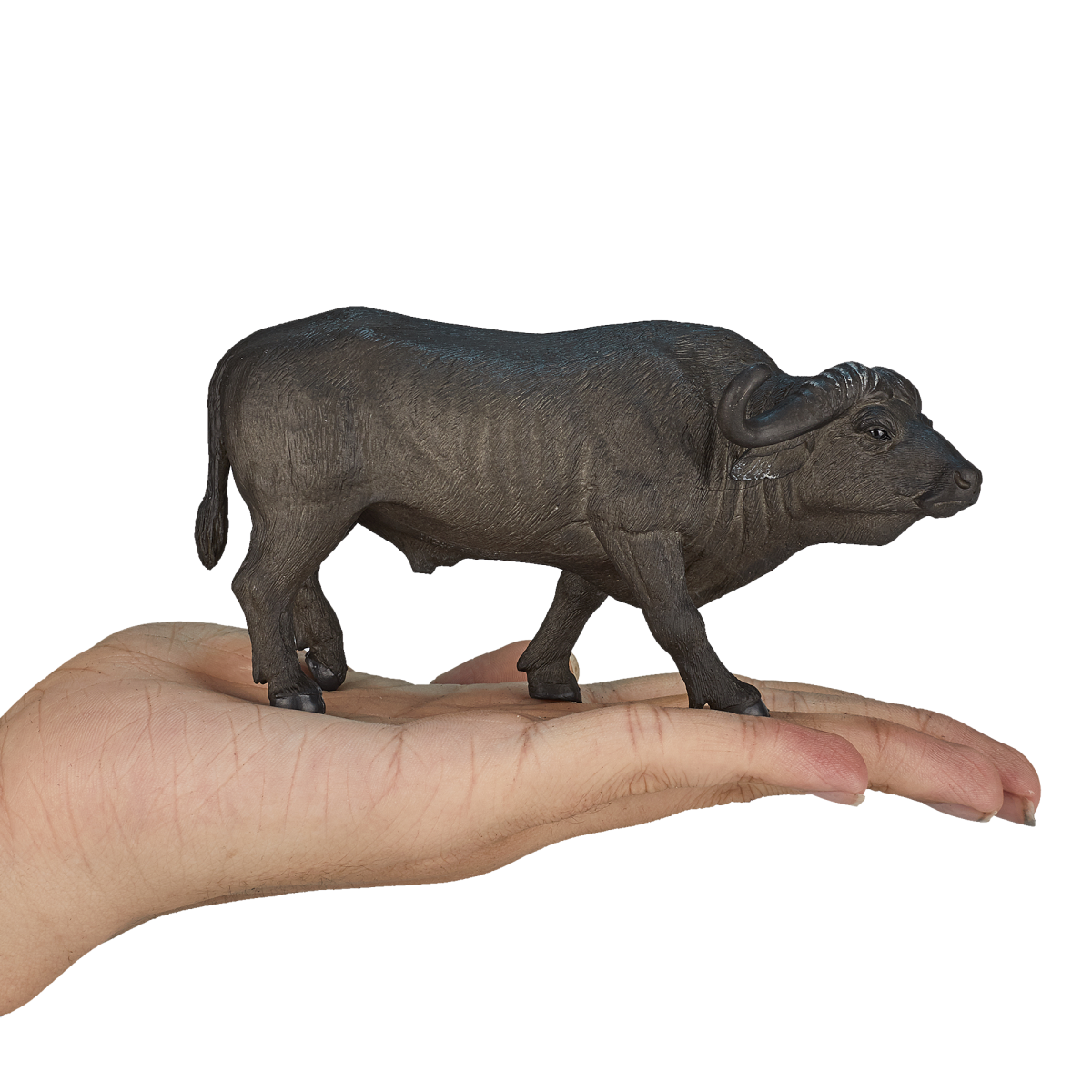 Mojo Fun Cape Buffalo Toy – Realistic African Wildlife Figurine