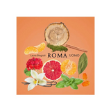 Laura Biagiotti Roma Uomo Eau de Toilette Spray 40ml – Fresh & Citrus, Woody Fragrance for Men