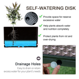 Outsunny Set of 2 Raised Garden Beds with Self-Watering Disc & Drainage – Elevated Planter Boxes