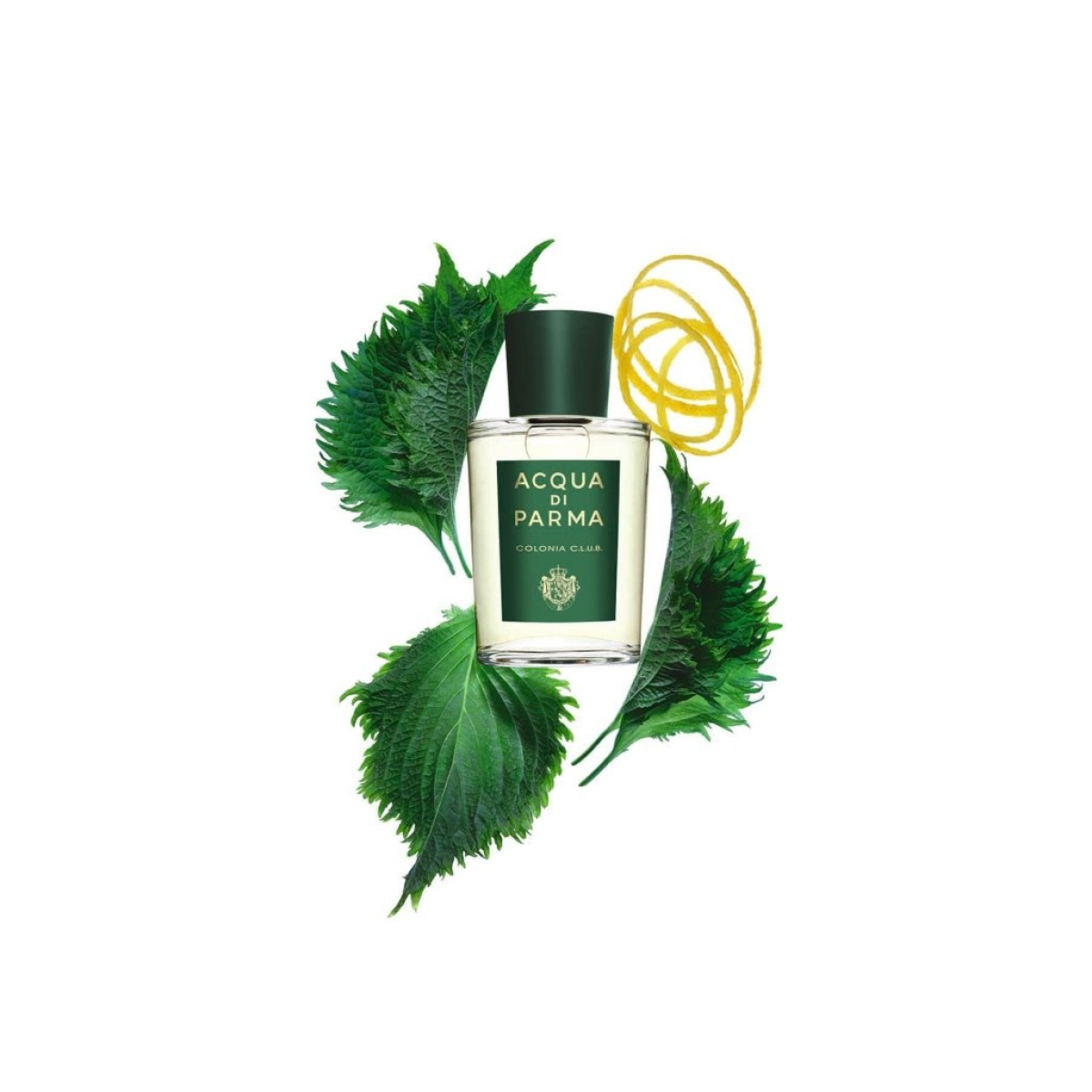 Acqua di Parma Colonia C.l.u.b. Eau de Cologne Spray 50ml – Fresh & Citrus, Aromatic Fragrance for Men