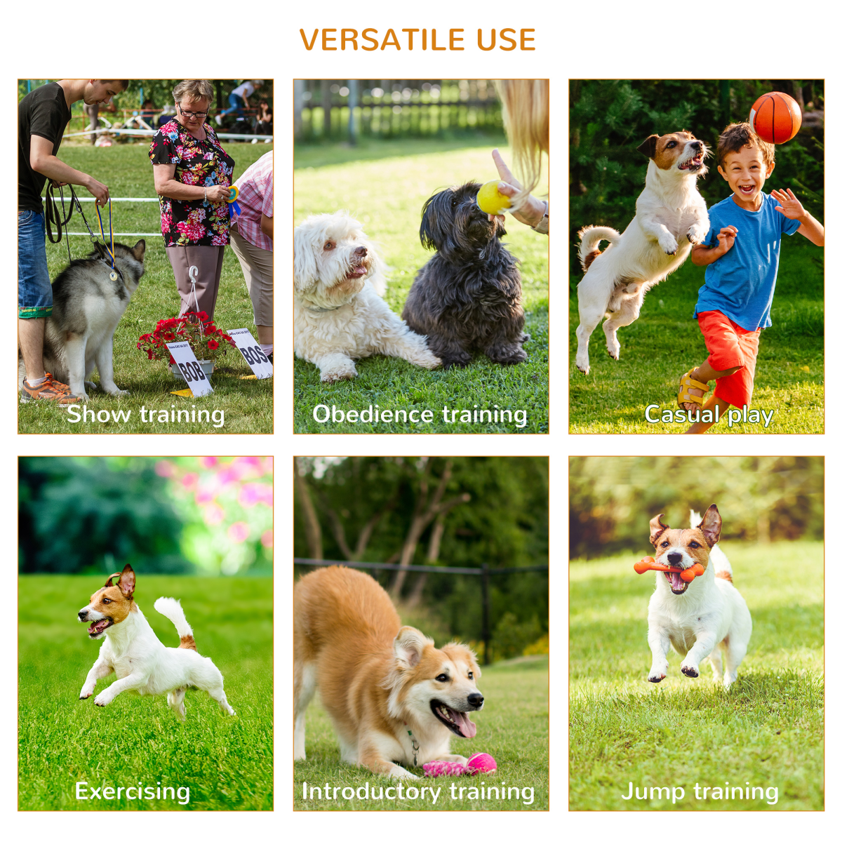 Dog Agility Training Set with High Jump, Tunnel, Weave Poles and Jumping Ring – Outdoor Exercise, Yellow