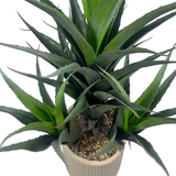 Artificial Agave Tropical Display in Decorative Pot – Realistic Faux Plant for Home & Office