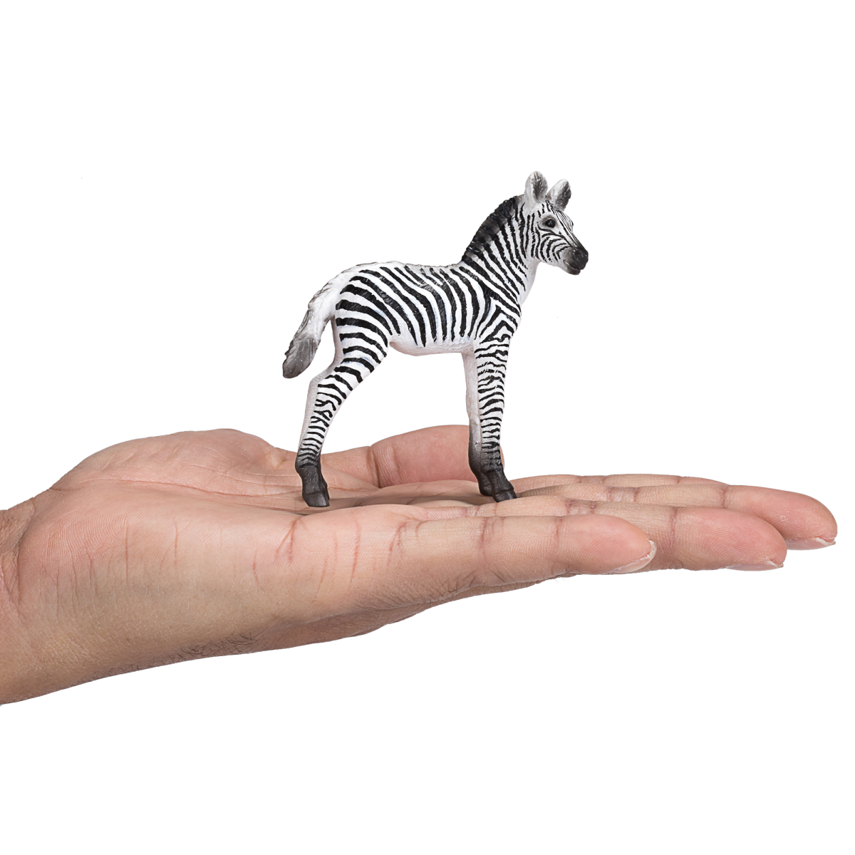 Mojo Fun Zebra Foal Toy Figure – Realistic African Wildlife Model