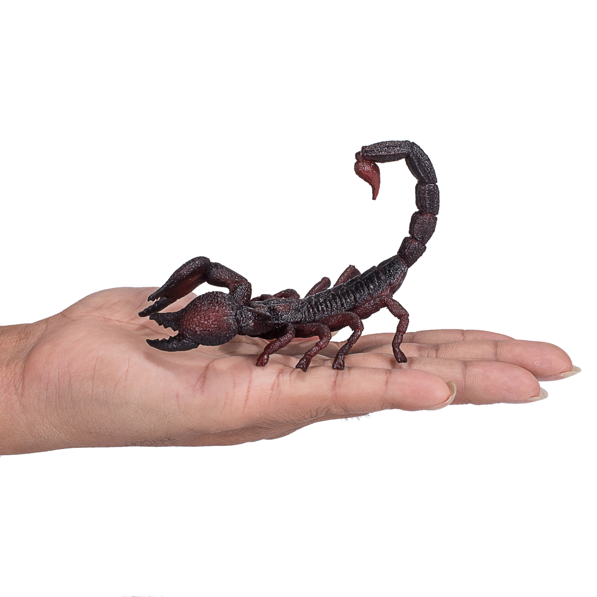 Mojo Fun Emperor Scorpion Toy – Realistic Insect Model