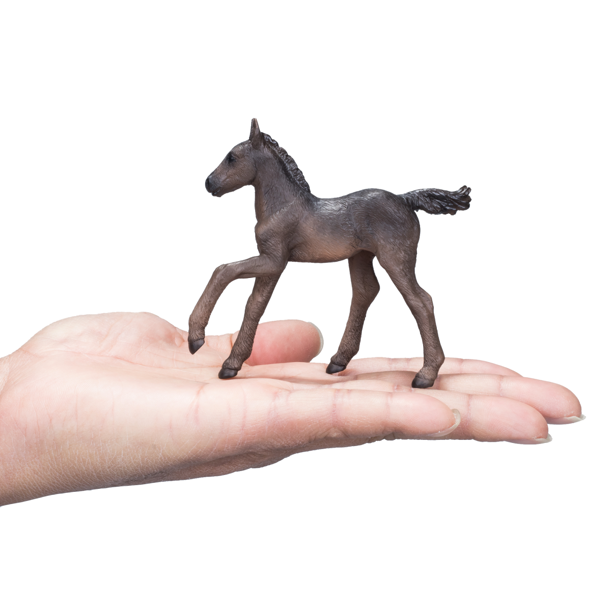 Mojo Arabian Foal Figurine in Black – Realistic Horse Model