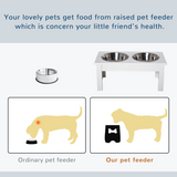 Raised Double Pet Feeder with 2 Stainless Steel Bowls & Non-Slip Stand – Elevated Dog Feeding Station, White