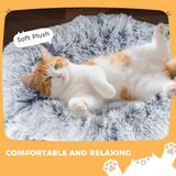 PawHut Donut Cat Play Tunnel Bed with Washable Cushion and Toy Ball – Foldable Pet Tunnel, Light Grey