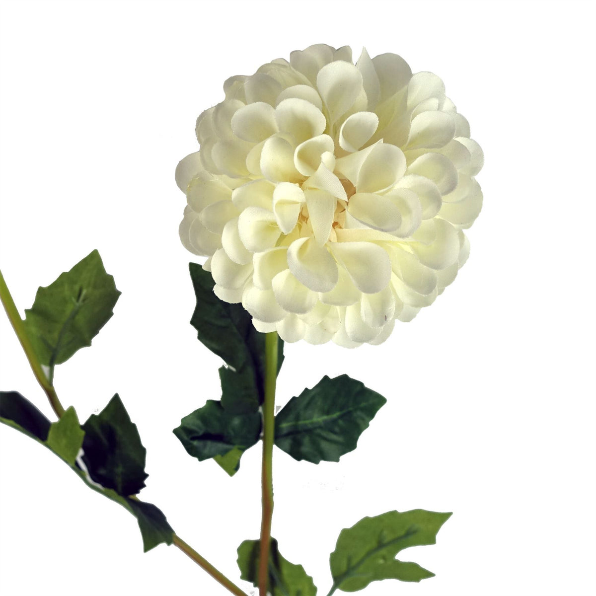 75cm Artificial Dahlia PomPom Flowers – Cream