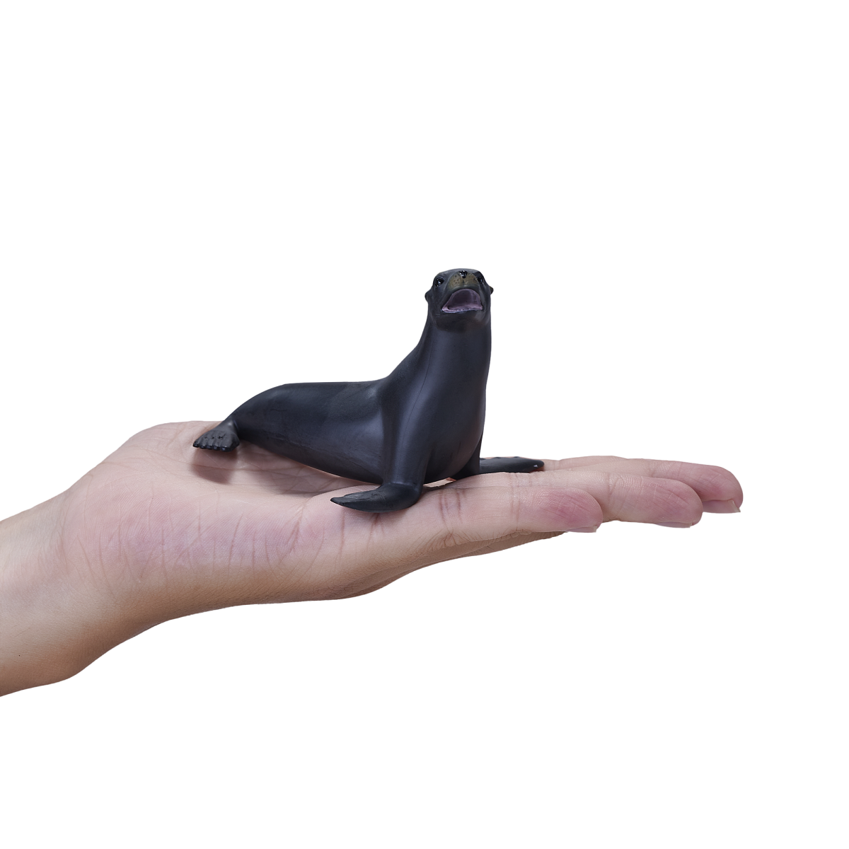 Mojo California Sea Lion Figure – Realistic Marine Animal Toy