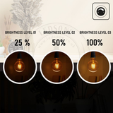 Ledsone 5-Pack E27 G95 Dimmable LED Edison Bulbs – Vintage Amber Glass Filament Lamps, 2700K Warm White