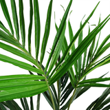 Leaf 130cm Artificial Kentia Palm Tree with Silk Leaves – Weighted Black Pot, Realistic Indoor Plant