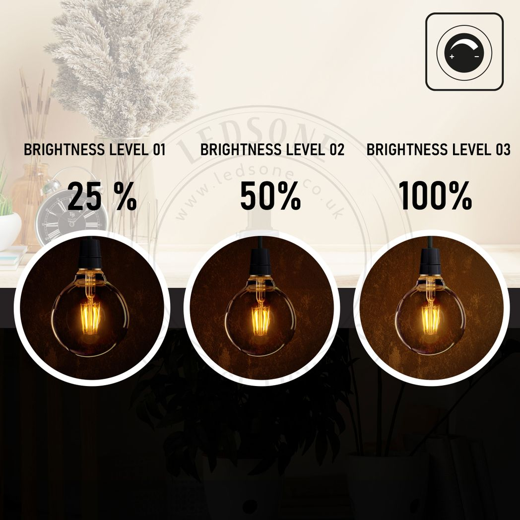Ledsone 6 Pack E27 Dimmable LED Edison Bulbs, G95 Amber Glass – 8W Warm White 2700K Vintage Filament