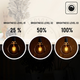 Ledsone 6 Pack E27 Dimmable LED Edison Bulbs, G95 Amber Glass – 8W Warm White 2700K Vintage Filament
