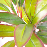 100cm Artificial Potted Dracaena Tropical Plant with Copper Metal Planter