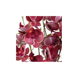 Leaf Pack of 6 Dark Pink Artificial Mini Orchid Stems, 80cm with 10 Flowers Each – Wired Faux Flowers