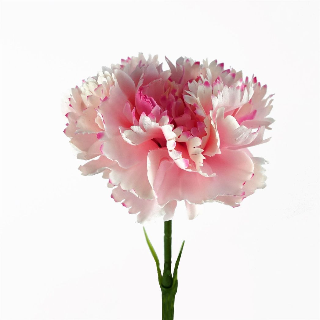 Pink Artificial Carnation Flowers – Pack of 12 Stems