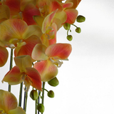 Botanik 110cm Large Artificial Yellow Peach Orchid Plant with 41 Real Touch Flowers – Wired Stems, Weighted Pot