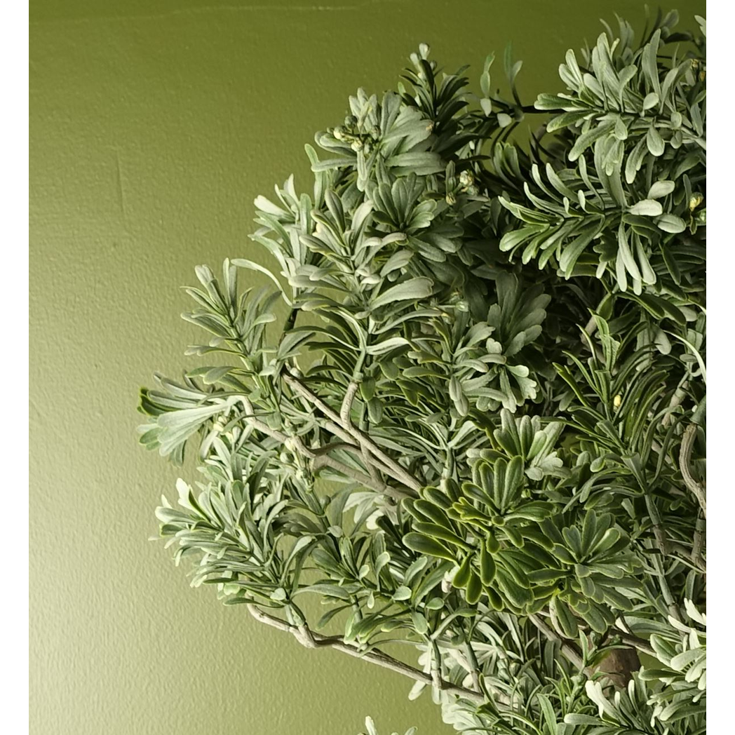 Leaf Artificial Artemisa Evergreen Shrub Plant, 70cm Tall in Weighted Plastic Pot – Home Decor, Green