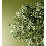 Leaf Artificial Artemisa Evergreen Shrub Plant, 70cm Tall in Weighted Plastic Pot – Home Decor, Green