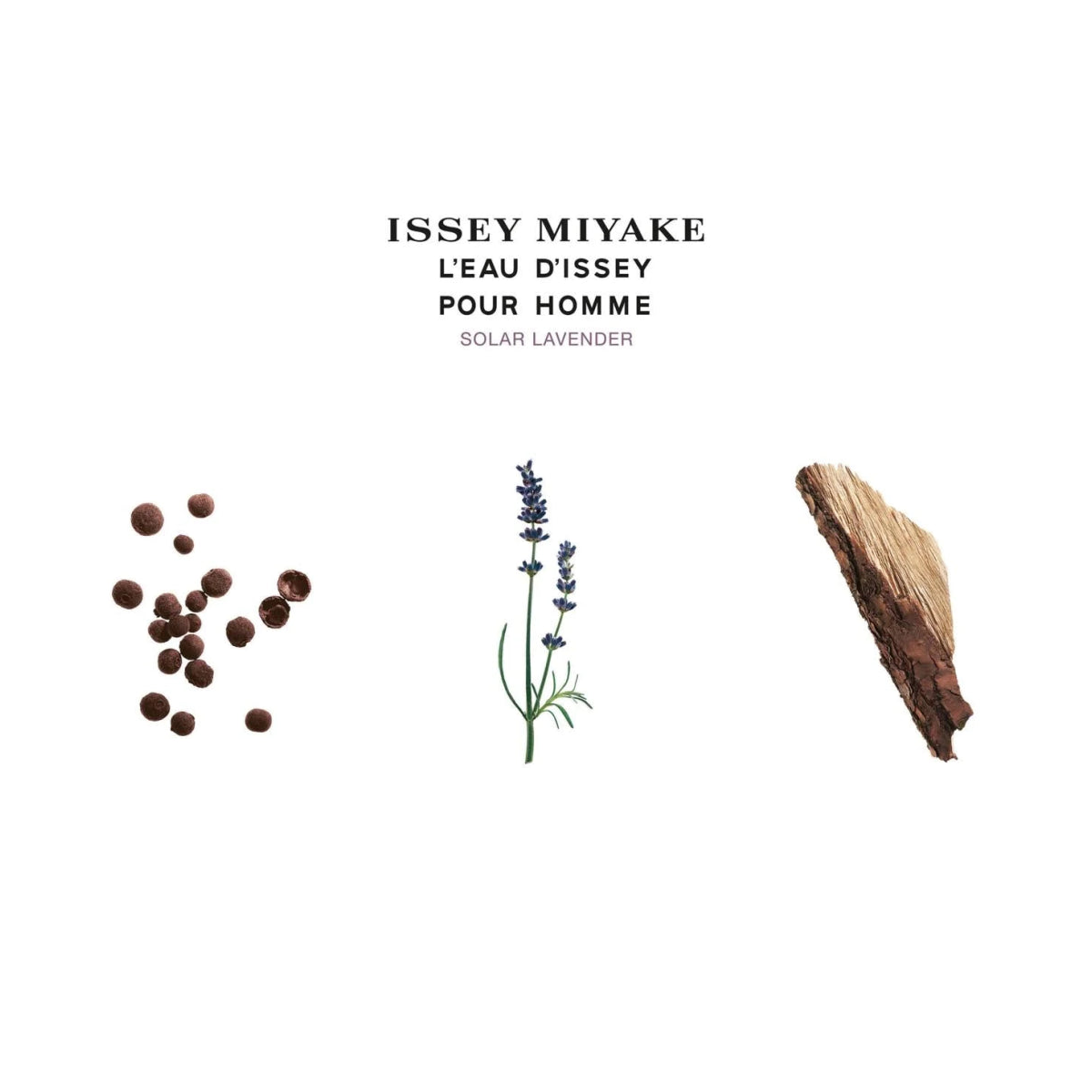 Issey Miyake Solar Lavender Eau de Toilette Spray 100ml – Aromatic, Fresh & Citrus Fragrance, Unisex