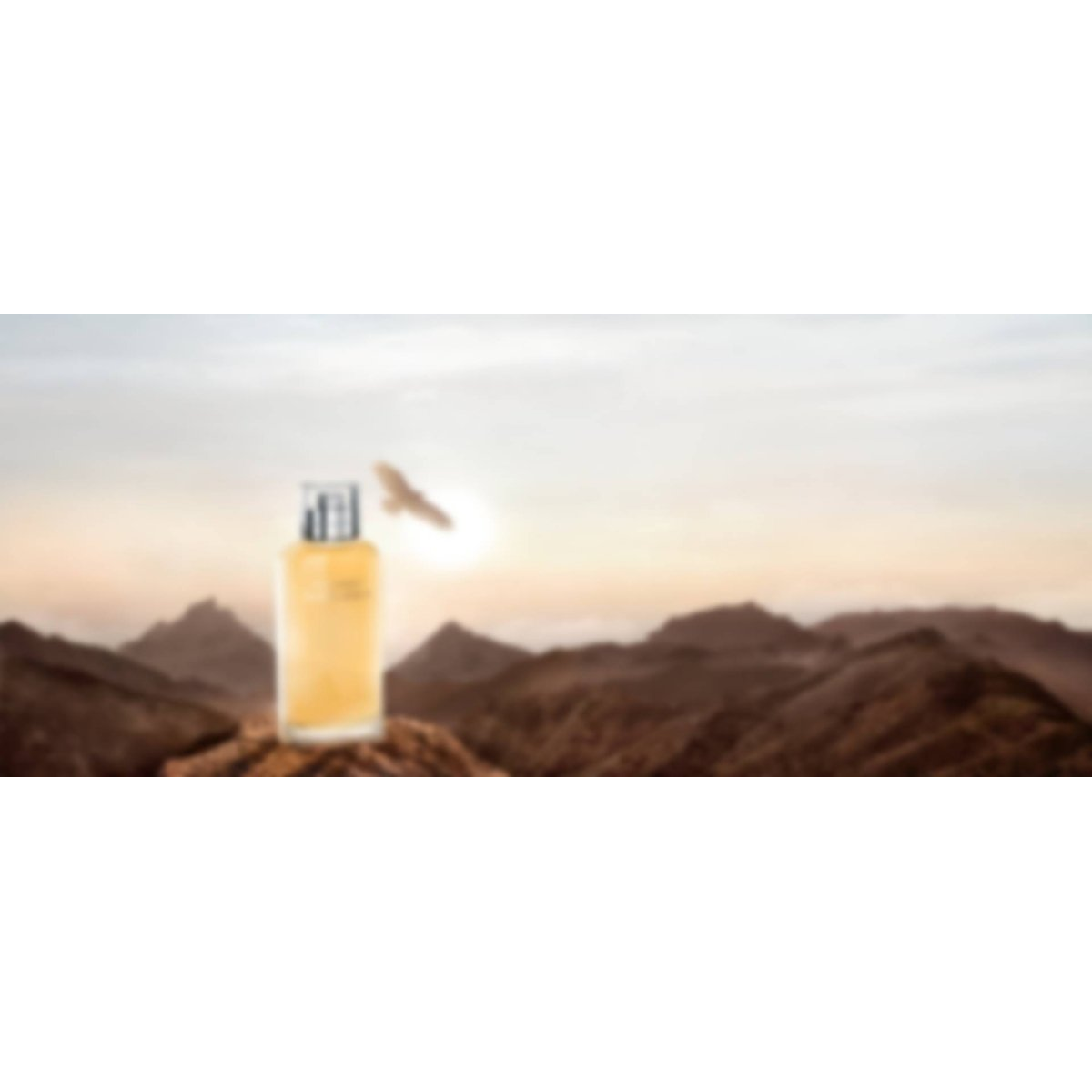 Davidoff Horizon Eau de Toilette Spray 125ml – Fresh & Citrus, Woody Fragrance for Men