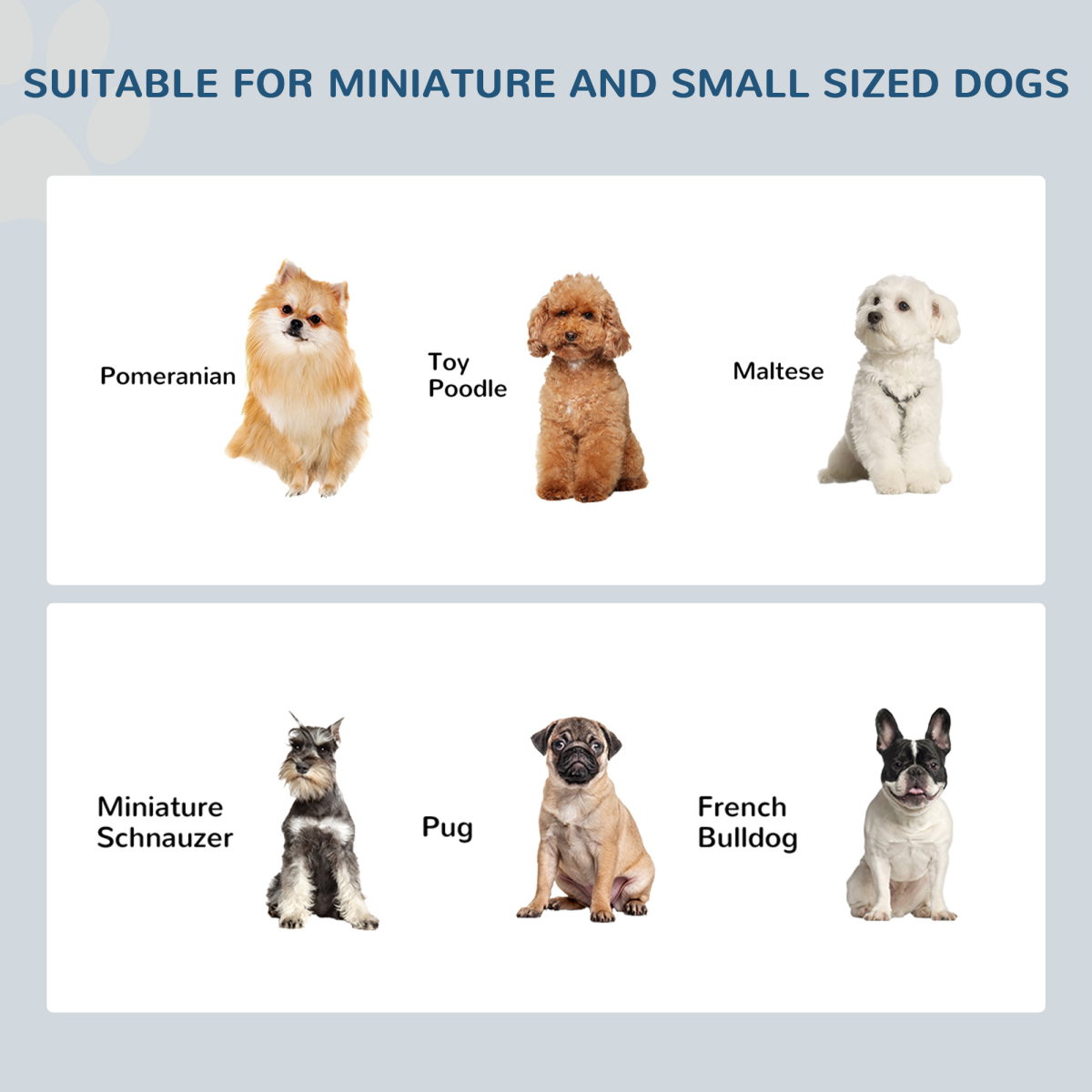 Raised Double Dog Bowl Feeding Station with Non-Slip Base – Elevated Stainless Steel Bowls for Small Dogs, Cotton White