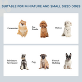 Raised Double Dog Bowl Feeding Station with Non-Slip Base – Elevated Stainless Steel Bowls for Small Dogs, Cotton White