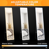 Full Length LED Floor Mirror 160 x 40cm with Remote, Dimmable 3 Colour Light – Freestanding or Wall Mounted