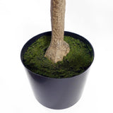 Botanik UK Artificial Eucalyptus Tree, 150cm Tall with Wired Stems & Weighted Pot – Realistic Faux Plant
