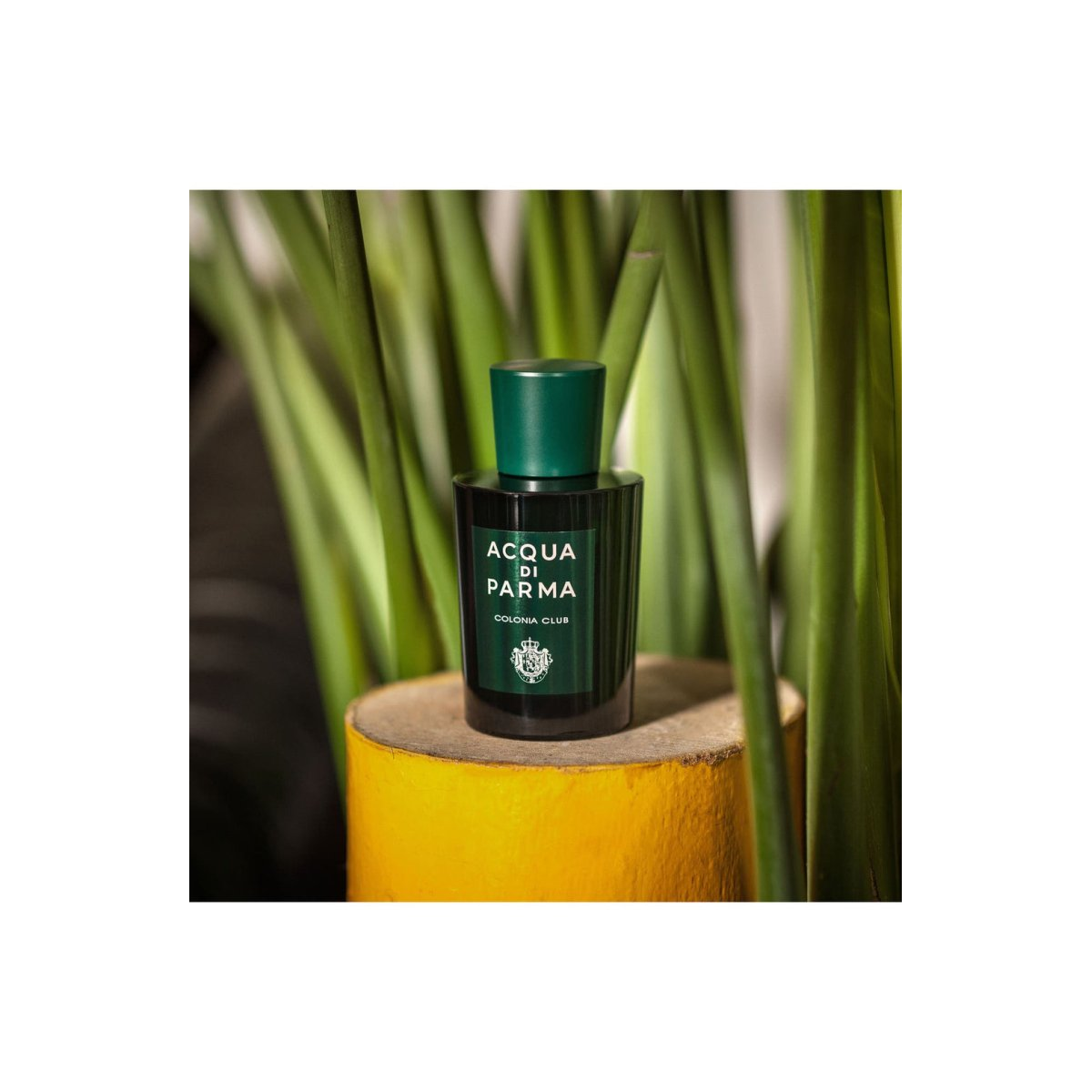 Acqua di Parma Colonia C.l.u.b. Eau de Cologne Spray 100ml – Fresh & Citrus, Aromatic Fragrance for Men