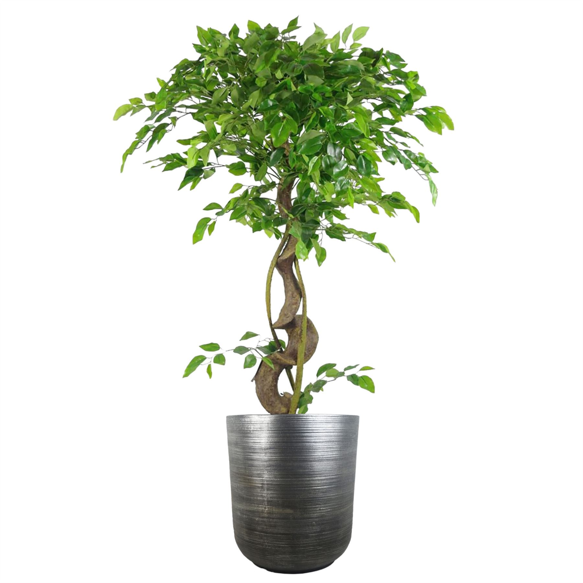 Coya Silver Ridged Large Composite Plant Pot – Garden Planter, 39cm x 33cm