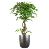 Coya Silver Ridged Large Composite Plant Pot – Garden Planter, 39cm x 33cm