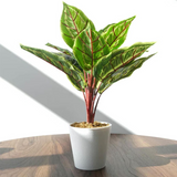 Leaf Artificial Potted Calathea Veitchiane, Pack of 6 – Low-Maintenance Desk and Shelf Plants, 38cm