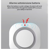 Smoke Alarm 2 Pack – Photoelectric Battery-Operated Fire Protection Detectors with Sound & LED Warning