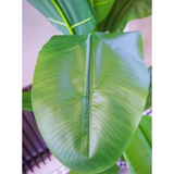Leaf 180cm Artificial Banana Tree with Copper Metal Planter – Tropical Faux Plant for Home
