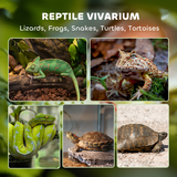 Glass Reptile Terrarium with Rock Background, Lockable Door & Ventilated Lid – 24L Waterproof Base for Wet Setups, Black