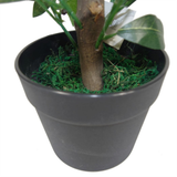 Pair of 50cm Dwarf Artificial Bay Trees – Realistic Laurel Topiary Bushes, Potted, Low Maintenance