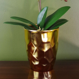 54cm Artificial Orchid Plant – White with Gold Pot