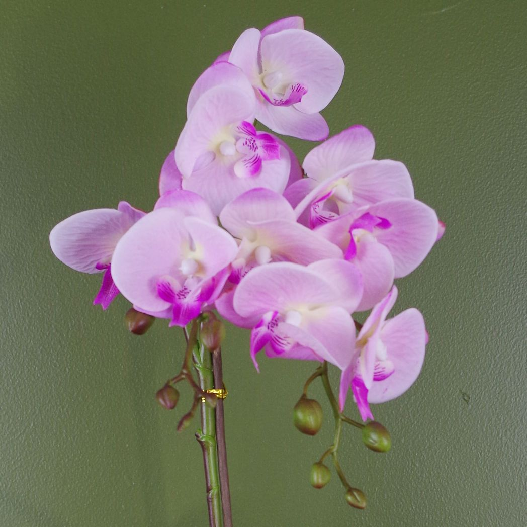 Leaf 50cm Phalaenopsis Artificial Orchid with Real Touch Flowers – Light Pink in Silver Honeycomb Pot