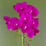 Artificial Phalaenopsis Orchid, 50cm with 9 Real Touch Flowers – Decorative Silver Honeycomb Pot, Dark Pink