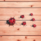 AcaciaHome Metal Ladybird Garden Wall Art – Set of 6, Weatherproof
