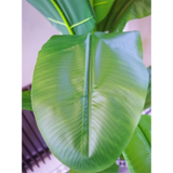 180cm Artificial Banana Plant Tropical Natural Tree