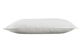 Harwoods 100% Cotton Pillow Pair with Hollowfibre Filling & Piped Edge Casing