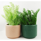Dusty Pink Peach Raised Dots Ceramic Plant Pot, 15 x 15 x 12.5cm – Decorative Indoor Planter
