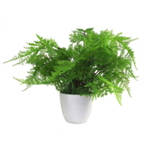 Leaf 30cm Artificial Potted Lady Fern (Athyrium Filix-Femina) – Realistic Botanical Fern Plant