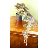 35cm Artificial Trailing Purple Potted Pothos Plant Realistic